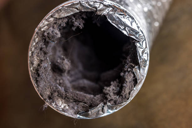 Best Residential Air Duct Cleaning  in Russellville, AR