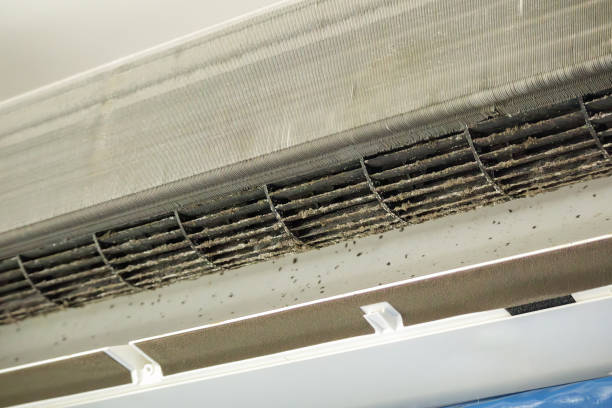 Best Duct Cleaning Specialists  in Russellville, AR